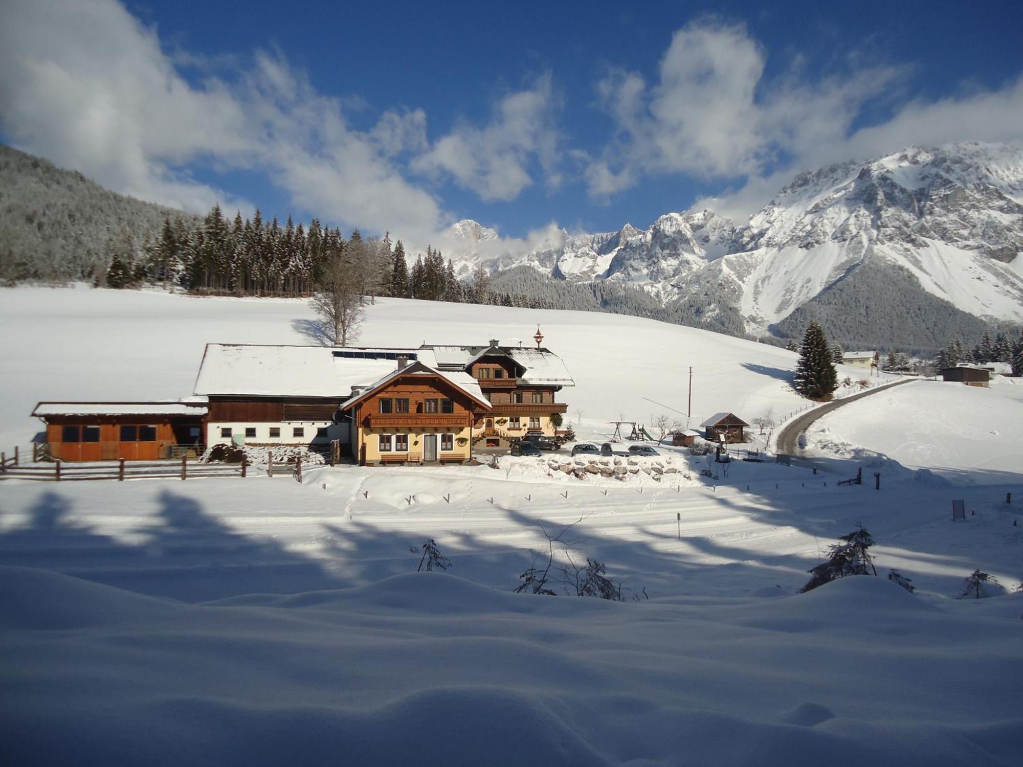 Pension-Greimelbacherhof Ramsau am Dachstein Exterior photo